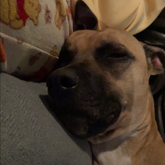 Meet your Posher, Nik - Picture 1 of 1